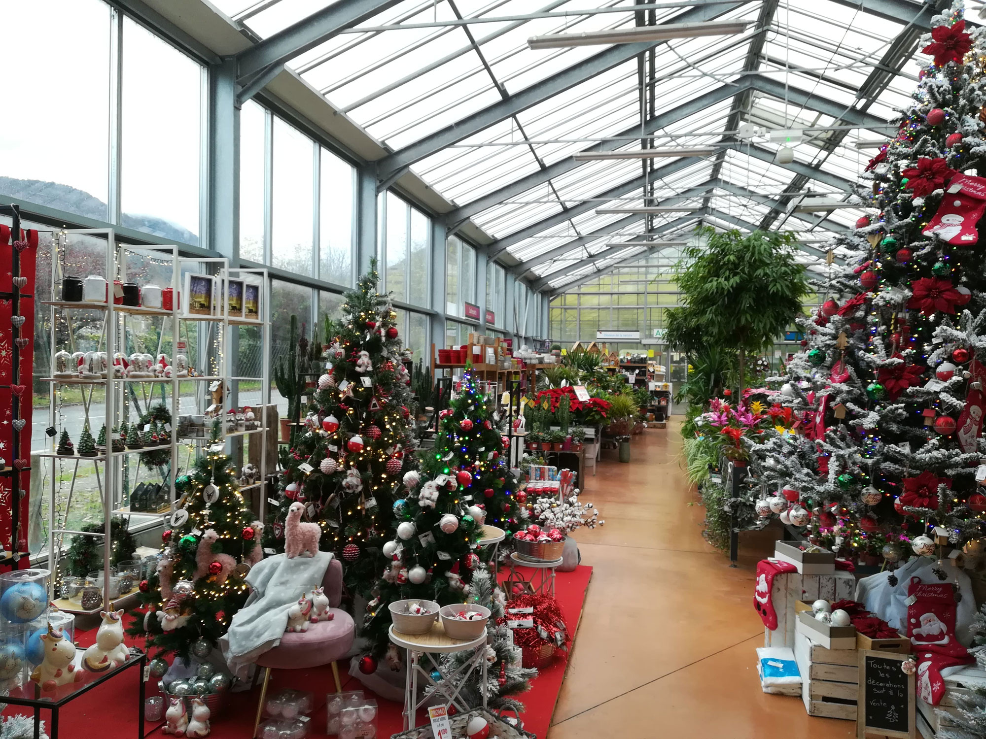 Sapin et décoration de Noël à la jardinerie - JardiPradel - Jardinerie à Bagnères-de-Luchon