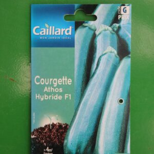 Graines courgette athos hybride F1 caillard 1