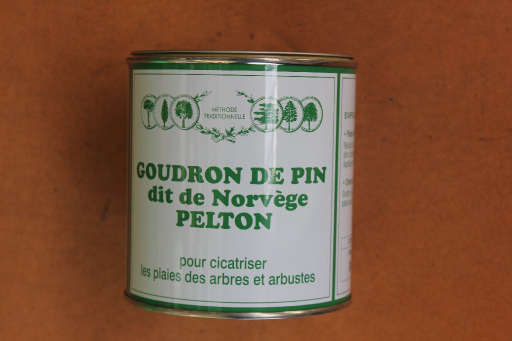 Goudron de pin de Norvège 800g Pelton - Jardi Pradel - Jardinerie et  fleuriste à Bagnères-de-Luchon