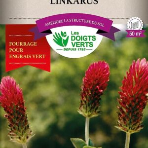 Trèfle Incarnat Linkarus Les doigts verts - Jardi Pradel jardinerie et fleuriste à Bagnères de Luchon (31)