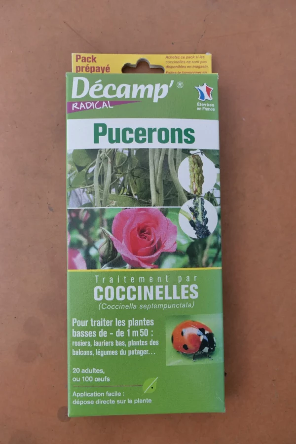 Pucerons traitement par coccinelles - Décamp radical (3) - Produits - Jardi Pradel - Jardinerie et fleuriste à Bagnères-de-Luchon (31)